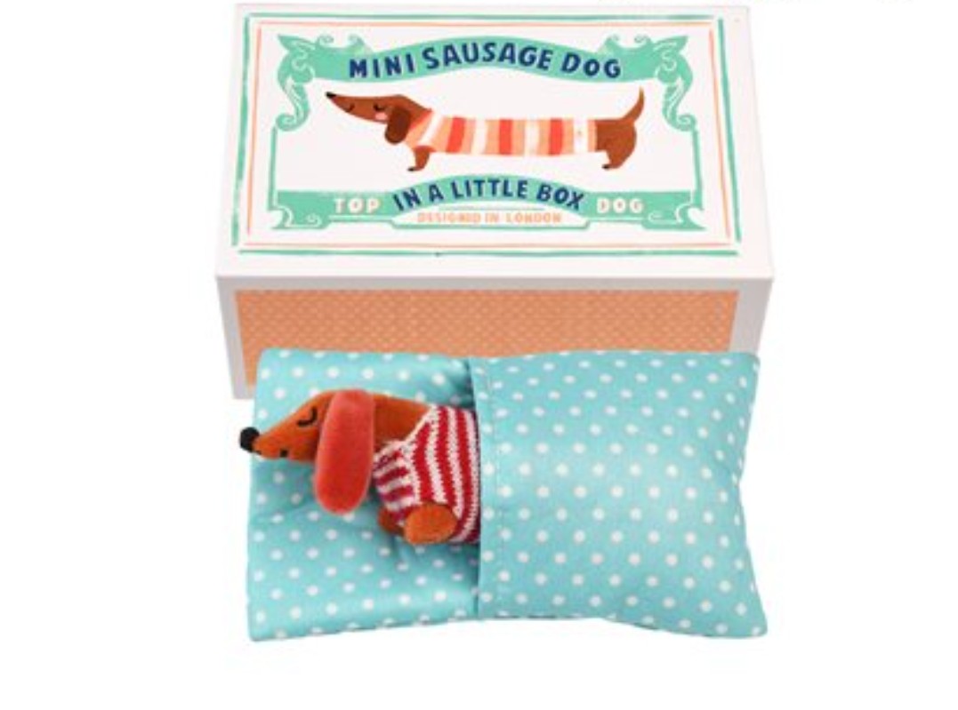 Mini Sausage Dog in a Little Box