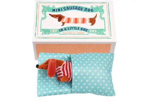 NEW! Mini Sausage Dog in a Little Box