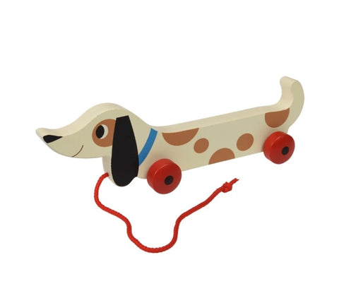 NEW! Charlie Pull-Along Toy