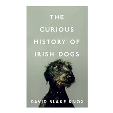 The Curious History of Irish Dogs
