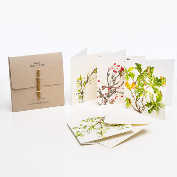 6 Pk Greeting Cards by Kilcoe Studios – Native Irish Trees
