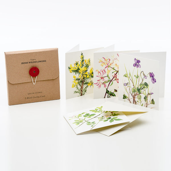 6 Pk Greeting Cards by Kilcoe Studios – Irish Wildflowers
